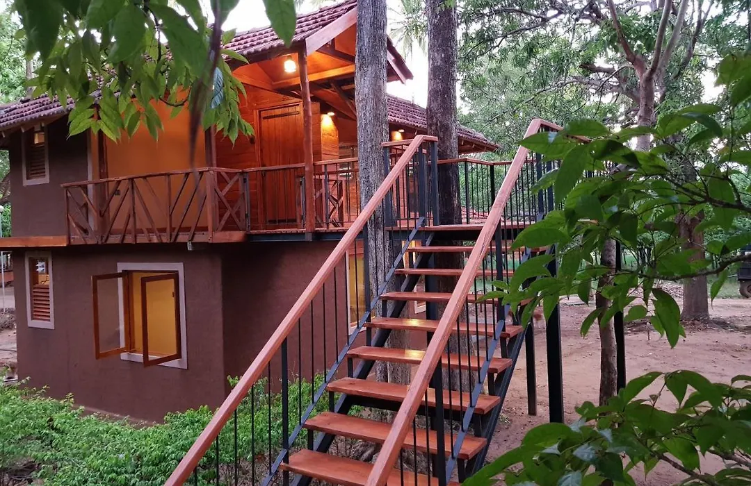 Eco Village Kalundewa-1